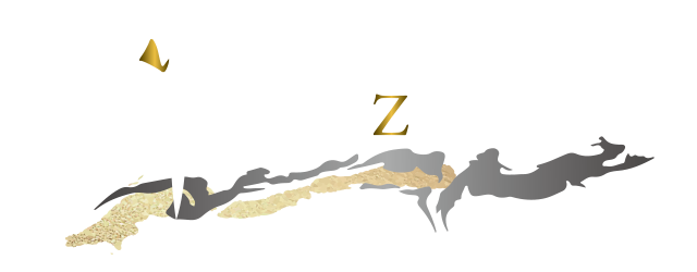 TSUBAKI